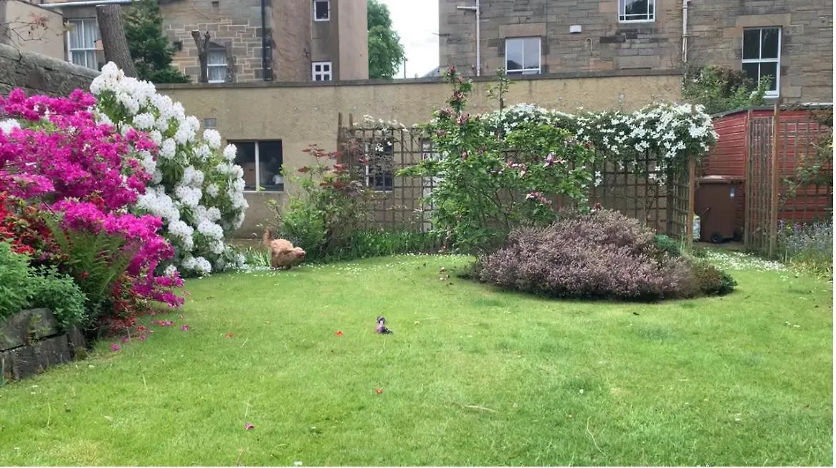 ホームステイ Quiet Room In Vibrant Bruntsfield With Private Parking エディンバラ イギリス